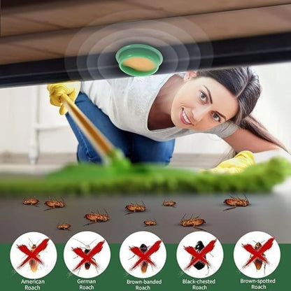 Cockroach Killer Bait Gel for Home