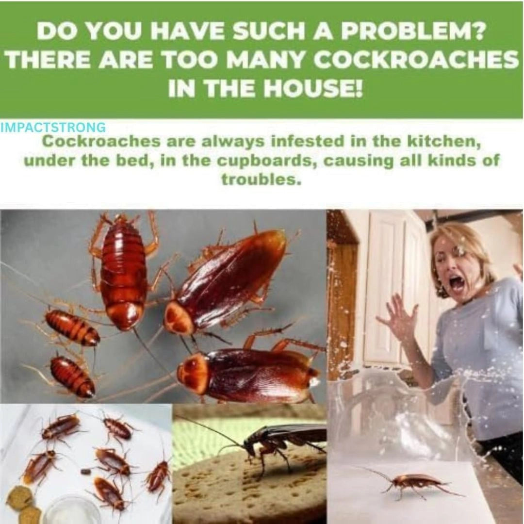 Cockroach Killer Bait Gel for Home