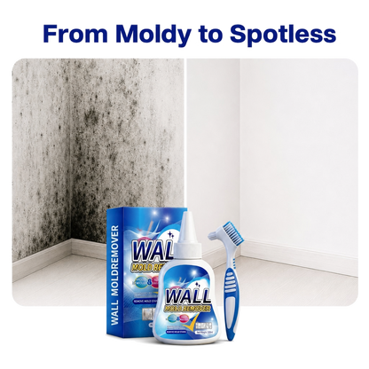 Wall Mold Remover