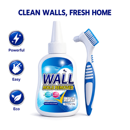 Wall Mold Remover