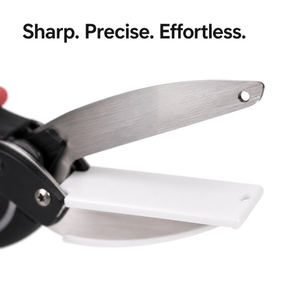 All-in-One Kitchen Scissors