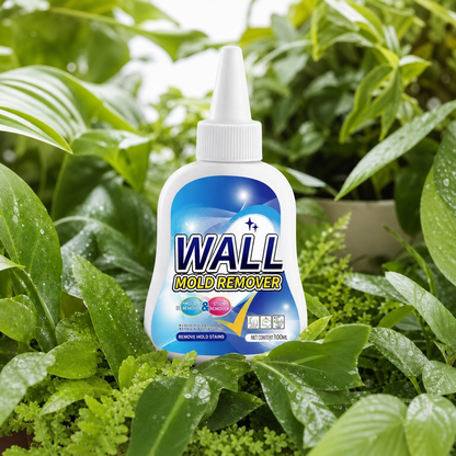 Wall Mold Remover